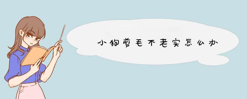 ​小狗剪毛不老实怎么办,第1张