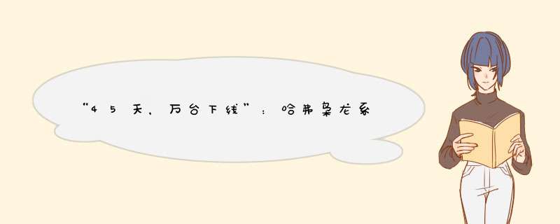 “45天，万台下线”：哈弗枭龙系列制胜智能化下半场,第1张