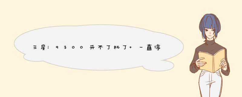 三星i9300开不了机了 一直停留在开机界面 docomo,第1张