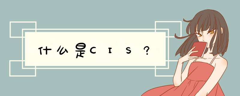 什么是CIS?,第1张