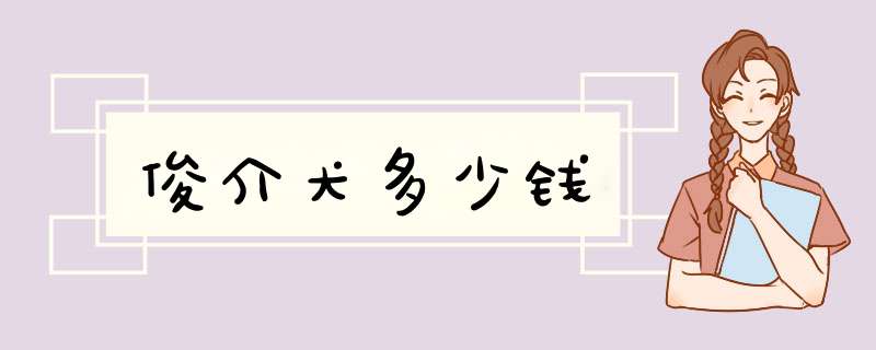 俊介犬多少钱,第1张