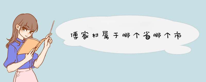 傅家村属于哪个省哪个市,第1张