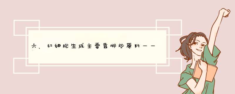 六、红细胞生成主要靠哪些原料——贫血知识讲座,第1张