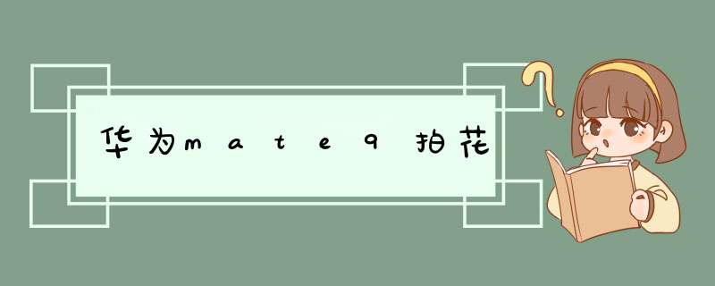 华为mate9拍花,第1张