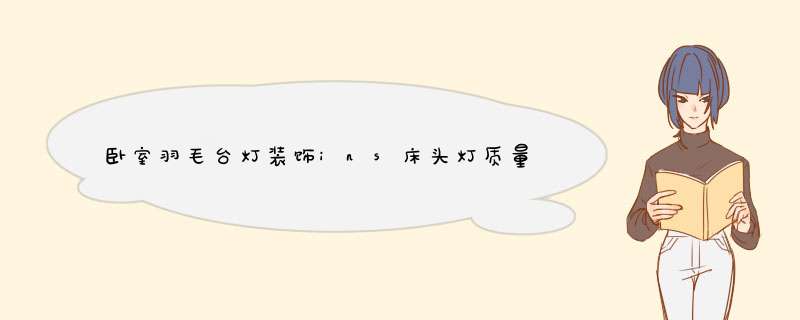 卧室羽毛台灯装饰ins床头灯质量怎么样是品牌吗，两大爆款使用效果评测,第1张