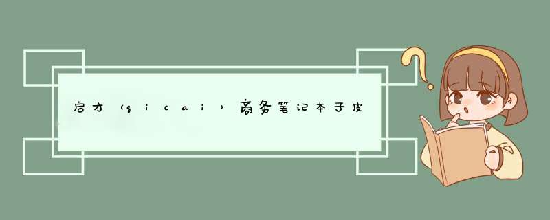 启才（qicai）商务笔记本子皮质活页本子创意笔记本文具复古日记本企业本定制 黑色单个装 黑色单个装怎么样，好用吗，口碑，心得，评价，试用报告,第1张