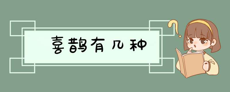 喜鹊有几种,第1张