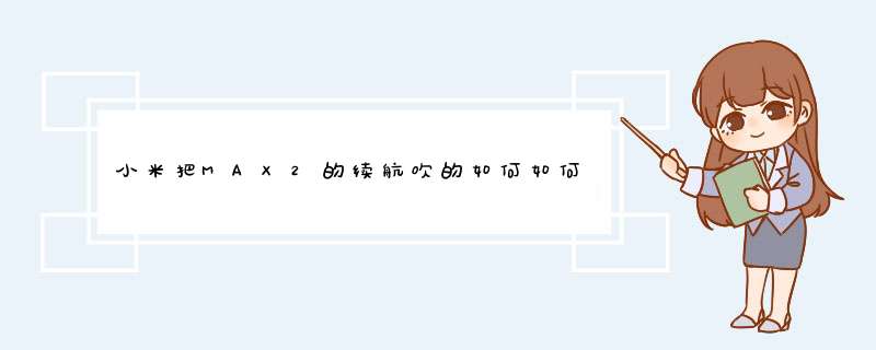 小米把MAX2的续航吹的如何如何，我就想知道，是小米MAX2的5300毫安的电池,第1张