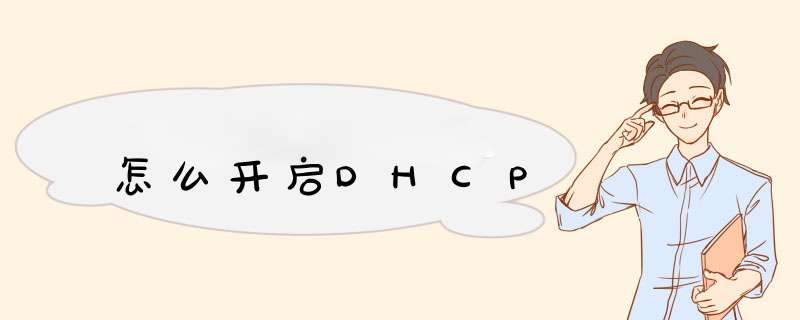 怎么开启DHCP,第1张