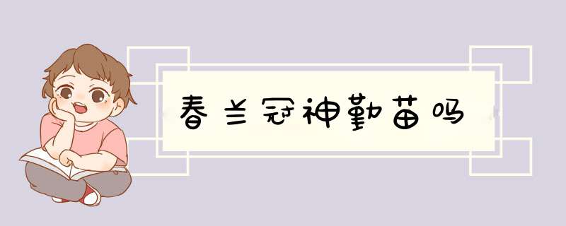 春兰冠神勤苗吗,第1张