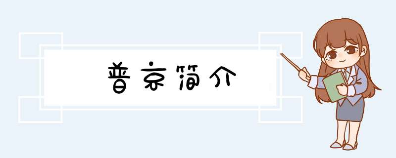 普京简介,第1张