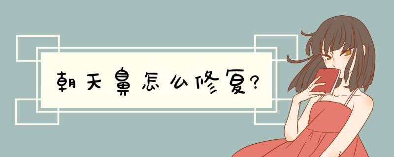 朝天鼻怎么修复?,第1张