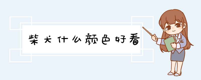 柴犬什么颜色好看,第1张