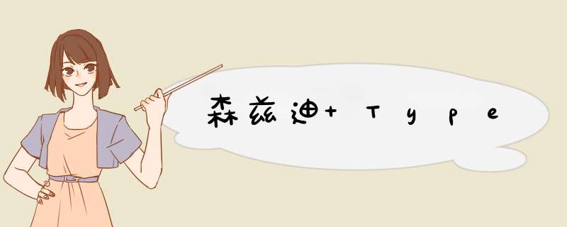 森兹迪 Type,第1张