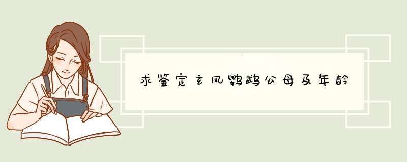 求鉴定玄凤鹦鹉公母及年龄,第1张