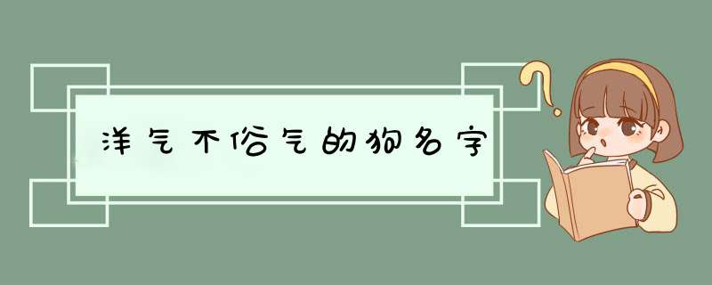 洋气不俗气的狗名字,第1张