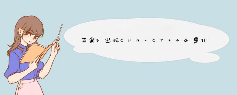 苹果5出现CHN-CT 4G是什么意思？求解,第1张