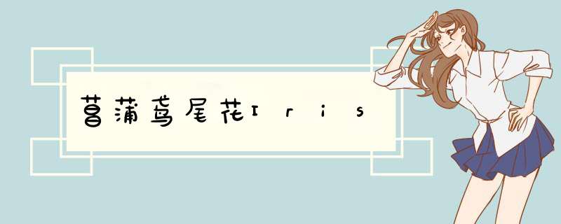 菖蒲鸢尾花Iris,第1张