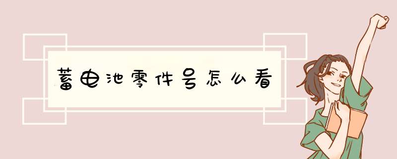 蓄电池零件号怎么看,第1张