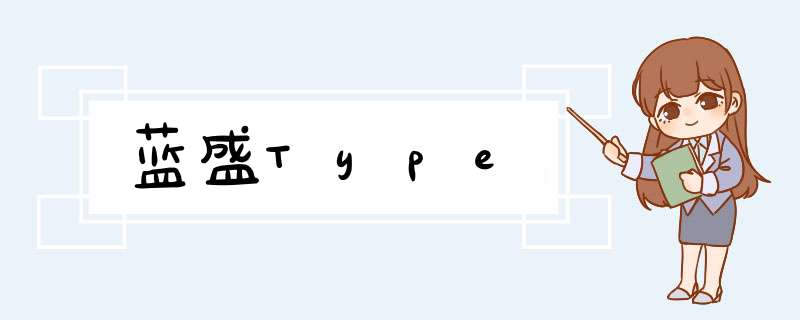 蓝盛Type,第1张