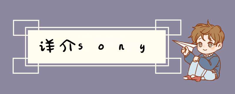 详介sony,第1张