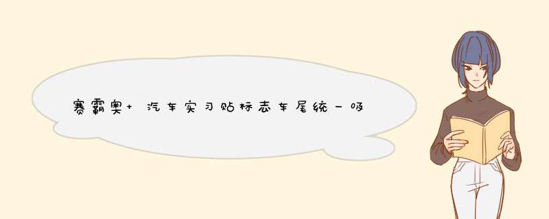 赛霸奥 汽车实习贴标志车尾统一吸盘式小车新手驾驶车标磁性反光车贴纸牌 金色壁虎怎么样，好用吗，口碑，心得，评价，试用报告,第1张