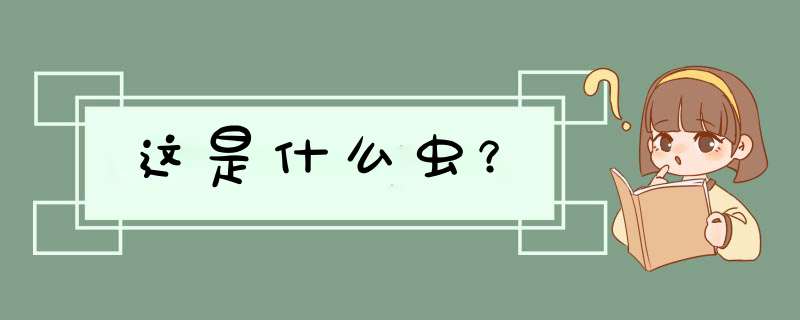 这是什么虫？,第1张