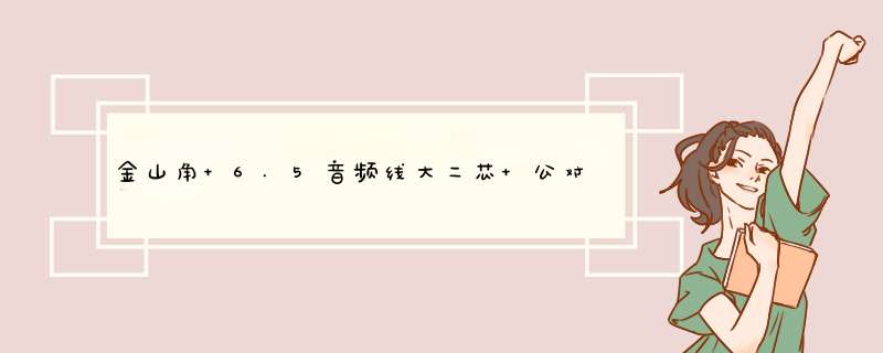 金山角 6.5音频线大二芯 公对公 无线话筒接收器与功放音响调音台吉他连接线1.5米3米5米10米 6.5音频线 JSJ,第1张