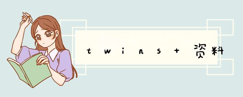 twins 资料,第1张