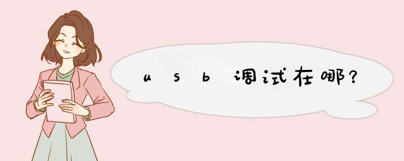 usb调试在哪？,第1张